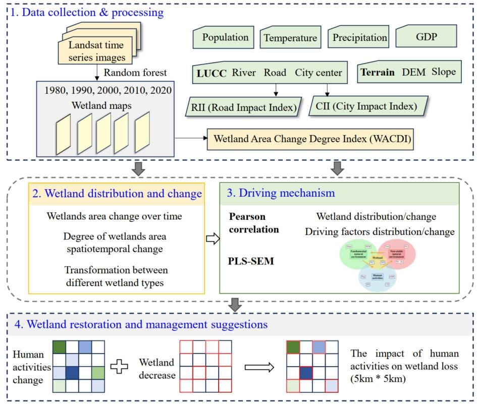 Wetland Dynamics workflow